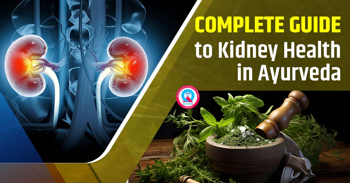 complete-guide-to-kidney-health-in-ayurveda